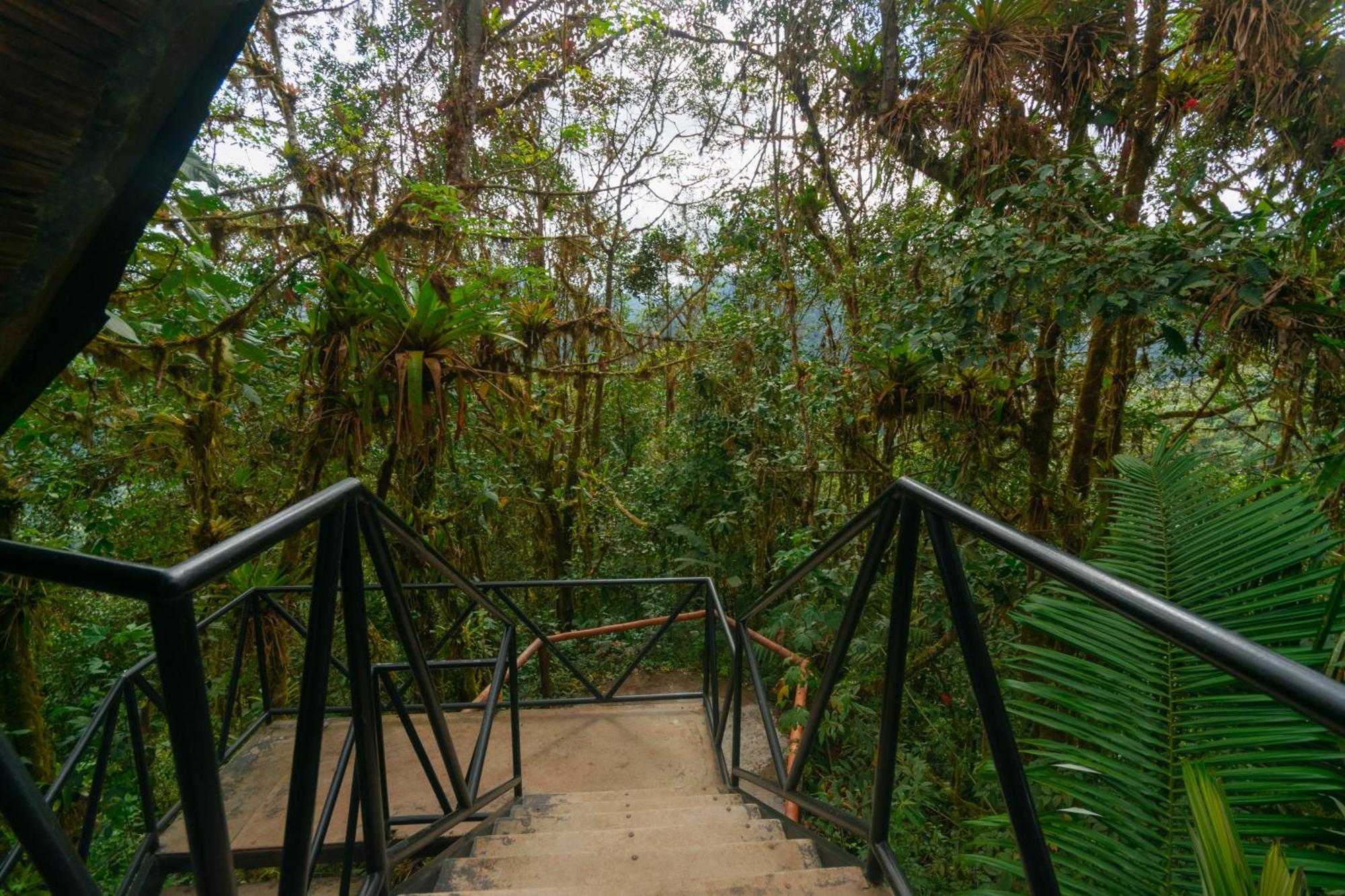 Bellavista Cloud Forest Lodge & Private Protected Area Tandayapa Екстер'єр фото