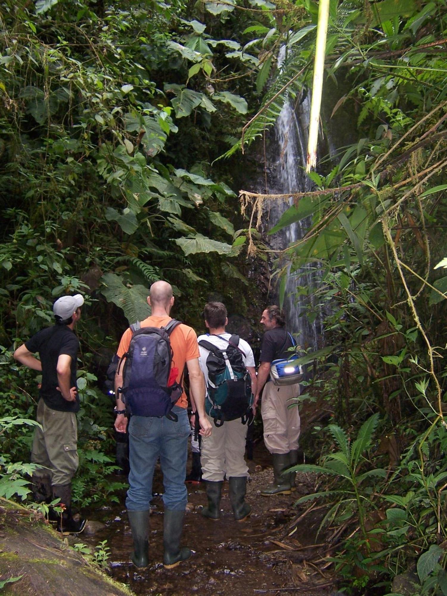 Bellavista Cloud Forest Lodge & Private Protected Area Tandayapa Екстер'єр фото
