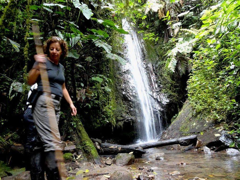 Bellavista Cloud Forest Lodge & Private Protected Area Tandayapa Екстер'єр фото
