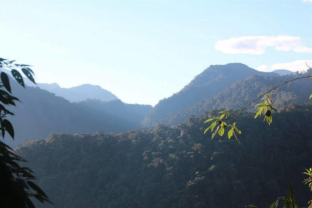 Bellavista Cloud Forest Lodge & Private Protected Area Tandayapa Екстер'єр фото